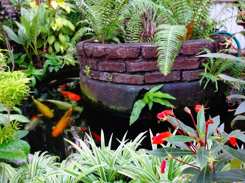 Stay With Me Guest House Chiang Mai Dış mekan fotoğraf
