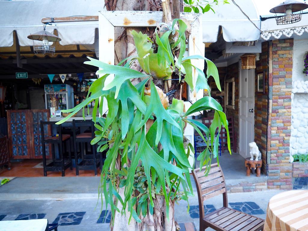 Stay With Me Guest House Chiang Mai Dış mekan fotoğraf
