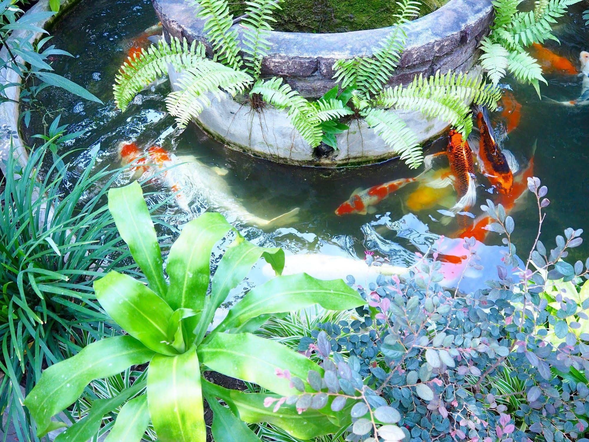 Stay With Me Guest House Chiang Mai Dış mekan fotoğraf